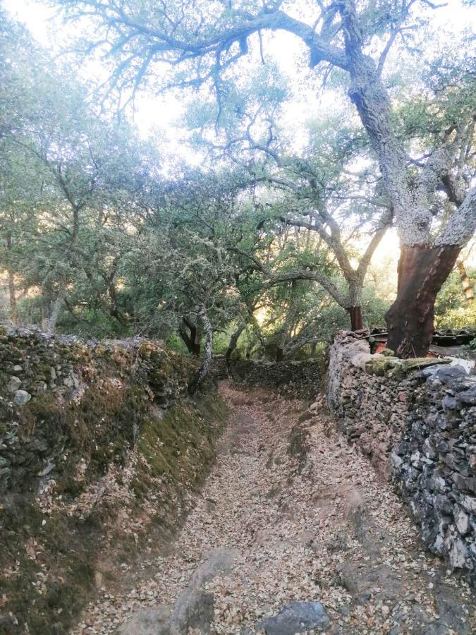 Casa Rural El Olivo Aracena Zewnętrze zdjęcie