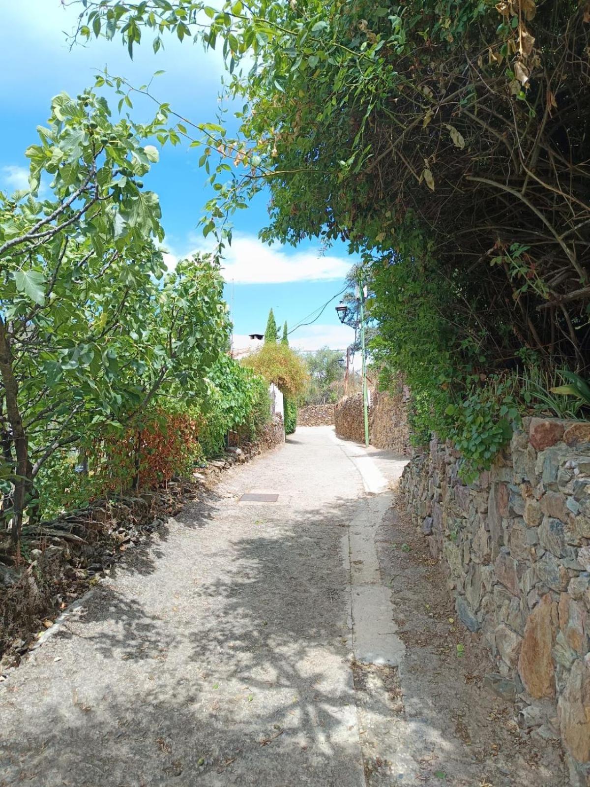 Casa Rural El Olivo Aracena Zewnętrze zdjęcie