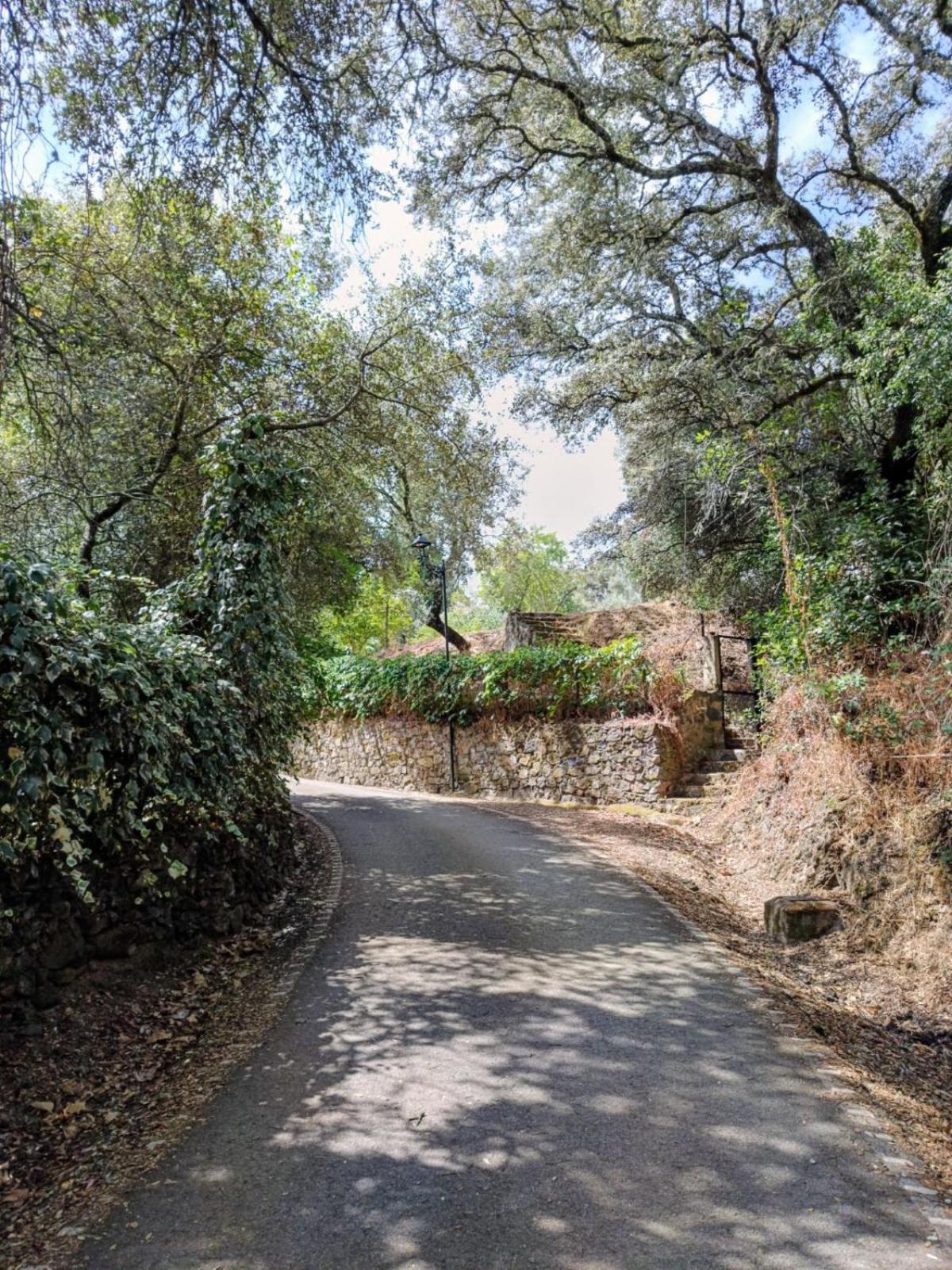 Casa Rural El Olivo Aracena Zewnętrze zdjęcie